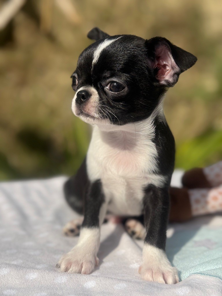 AIKO  ? besoin d un amour sincère, il vous attend 